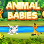 Animal Babies