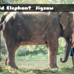 Child Elephant Jigsaw