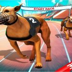 Crazy Dog Race