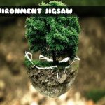 Environment Jigsaw