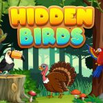 Hidden Birds