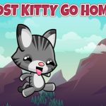 Lost Kitty Go Home