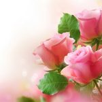 Pink Roses Puzzle