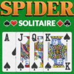 Spider Solitaire Pro