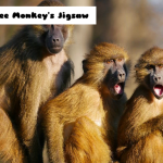 Three Monkey’s Jigsaw